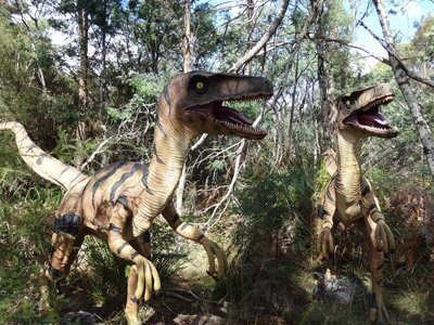 Jurassic Swamp at Tasmanian Zoo