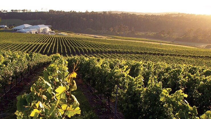Bay of Fires (Image: Bay of Fires)