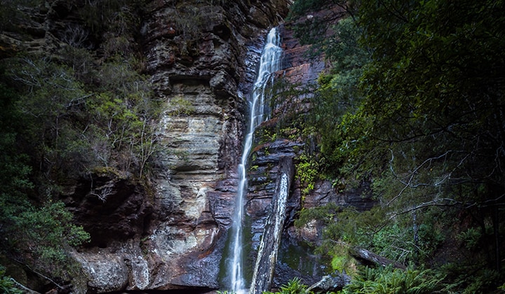Snug Falls (Image: Cam Blake)