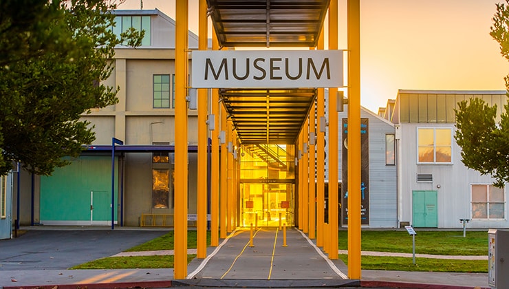 Queen Victoria Museum and Art Gallery (Image: QVMAG)