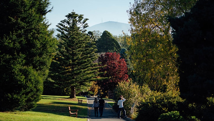 Royal Tasmanian Botanical Gardens (Image: RTBG)