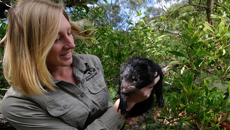 East Coast Natureworld (Image: East Coast Natureworld