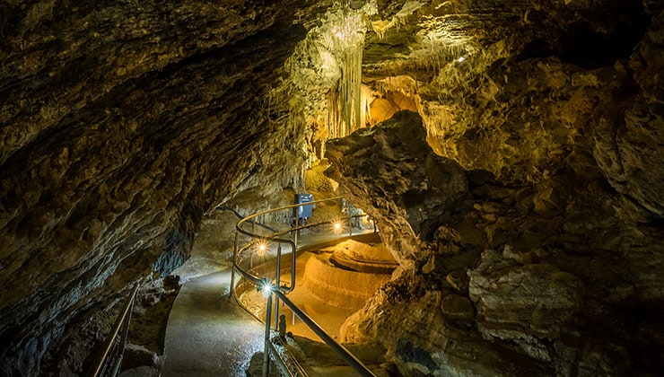 Mole Creeks Caves (Image: Cam Blake)