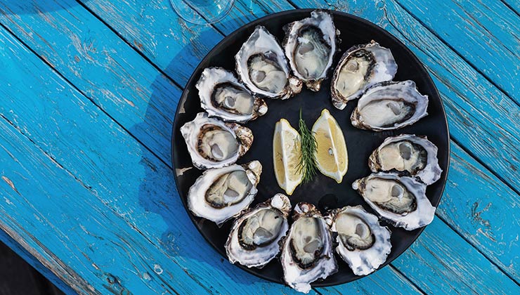 Get Shucked Bruny Island Oysters (Image: Adam Gibson)