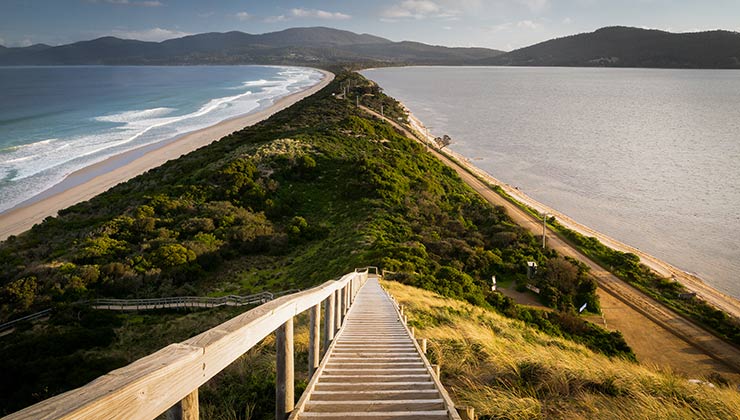 The Neck (Image: Cam Blake)