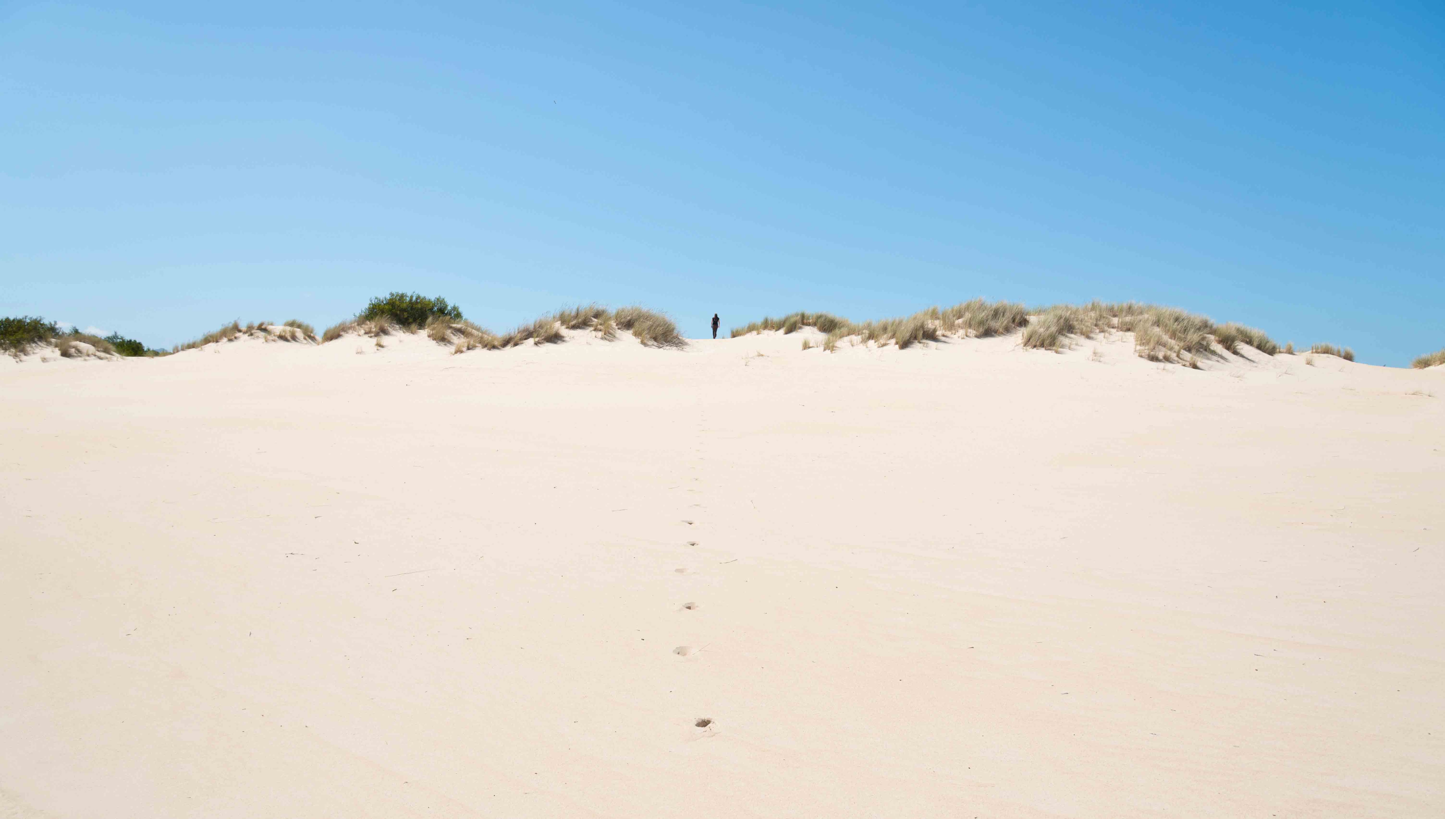 Henty Dunes (Image: Paul Fleming)