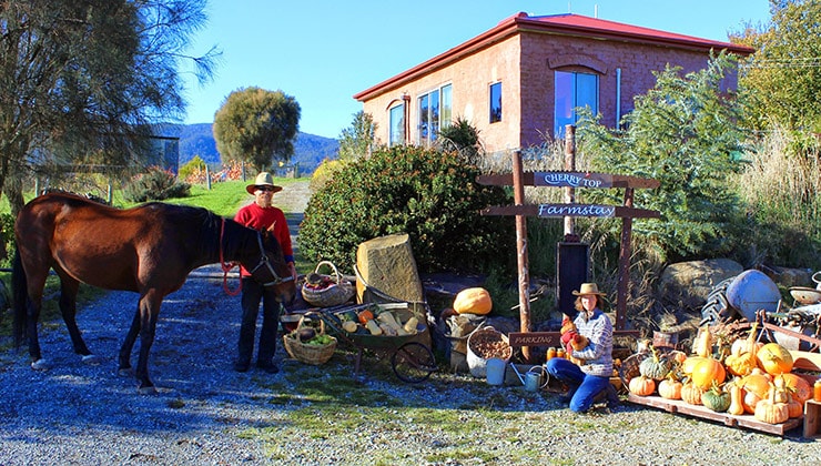 Cherry Top (Image: Cherry Top)