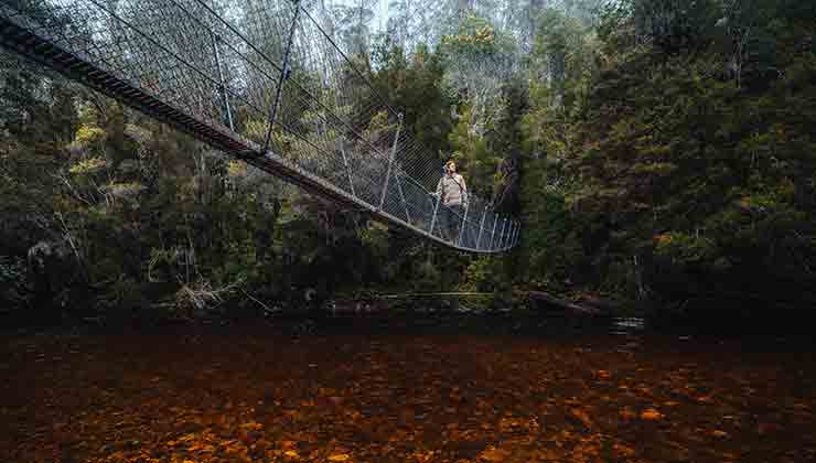 Bridge over the Franklin River - Frenchman's Cap Track  (Image: Jason Charles Hill)