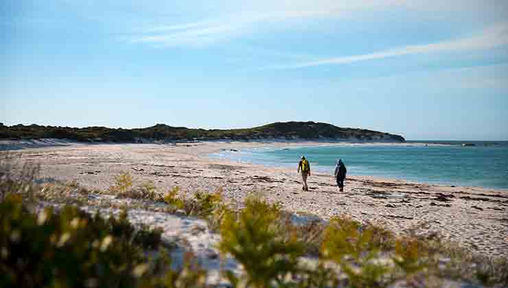 wukalina walk and Mount William National Park (Image: wukalina walk)