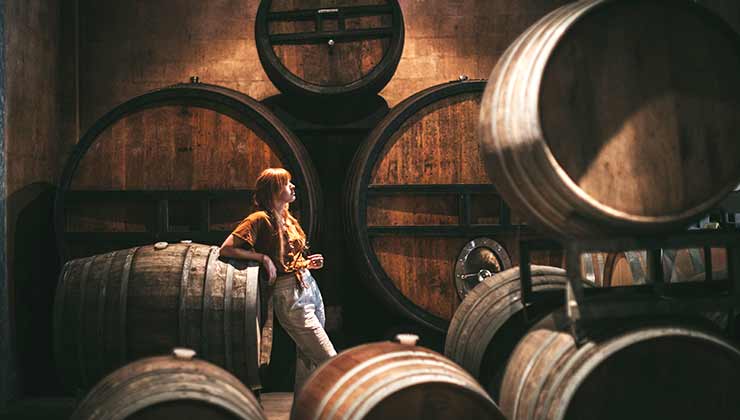 Pipers Brook vineyard (Image: Jarrad Seng)