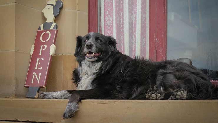 Willow Court Antique Centre (Image: Tourism Tasmania & Kathryn Leahy)