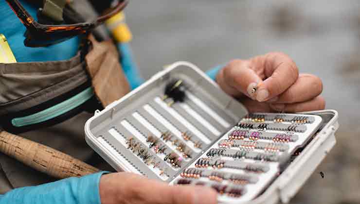 Fly fishing lures  (Image: Sammuel Shelley)