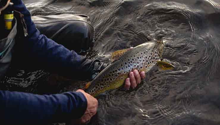Fly fishing at Penstock Lagoon (Image: Samuel Shelley)