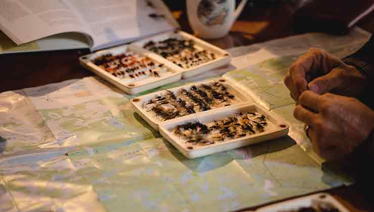 Fishing lure tying  (Image: Samuel Shelley)