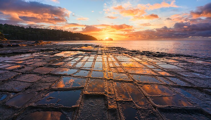 Tessellated Pavement (Image: Luke Tscharke)