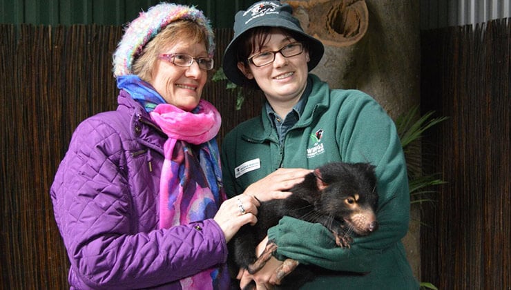 Devil Encounter (Wings Wildlife Park)