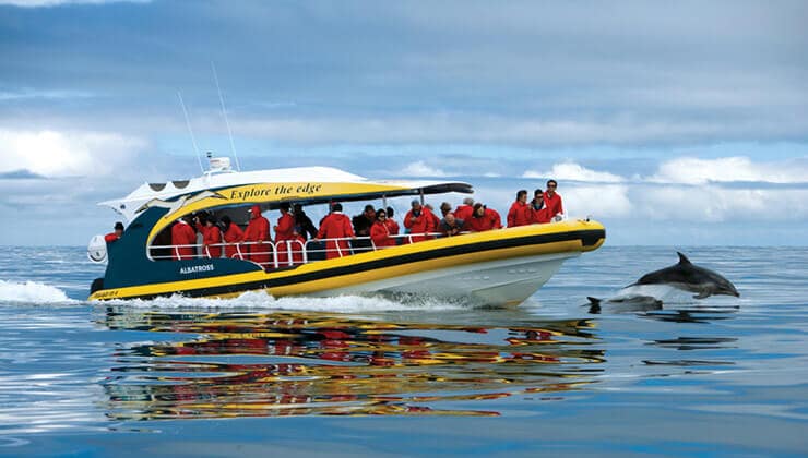 Bruny Island Cruise