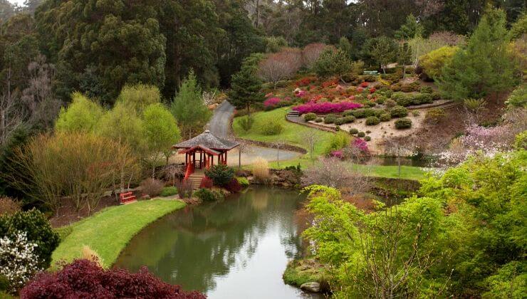 Emu Valley Rhododendron Garden (Image:Tourism Australia & Graham Freeman)