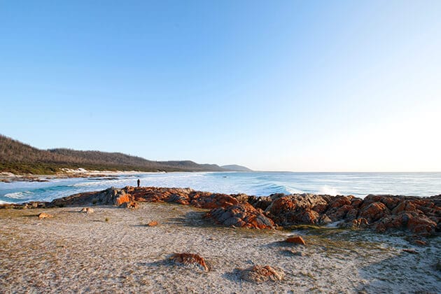 Friendly Beaches (Image: Tourism Tasmania & Kathryn Leahy)