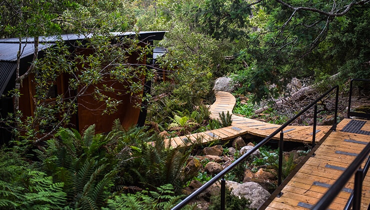 Blue Derby Pods Ride (Image: Kane Naaraat, Pinkbike.com and Tourism Tasmania)