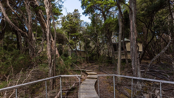 Par Avion Southwest Wilderness Camp (Matt Glastonbury and Tourism Tasmania)