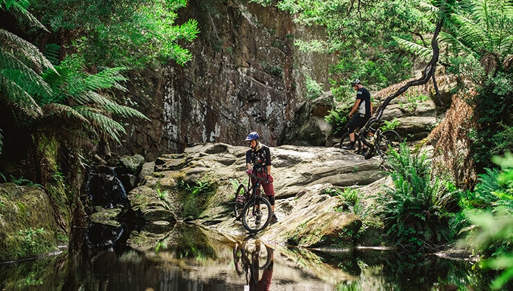 Blue Derby Mountain Bike Trails (Image: Stu Gibson/Tourism Tasmania)