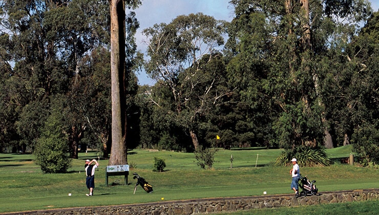 Devonport Country Club (Image: Bill Bachman/Tourism Tasmania)