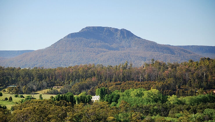 Quamby Estate (Image: Brian Dullaghan/Tourism Tasmania)