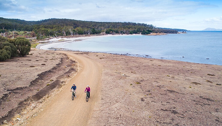 Mountain Biking on Maria Island (Image: Stu Gibson/Tourism Tasmania)