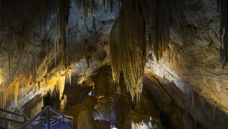 Hastings Caves (Image: Tourism Tasmania & Rob Burnett)
