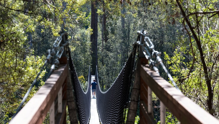 Tahune Adventures (Image: Tahune Adventures Tasmania)