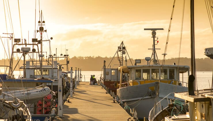 Sunrise fishing over Georges Bay