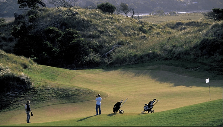 Bridestowe Lavender Estate
