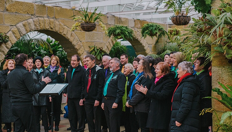 Festival of Voices - Pop-up Performances