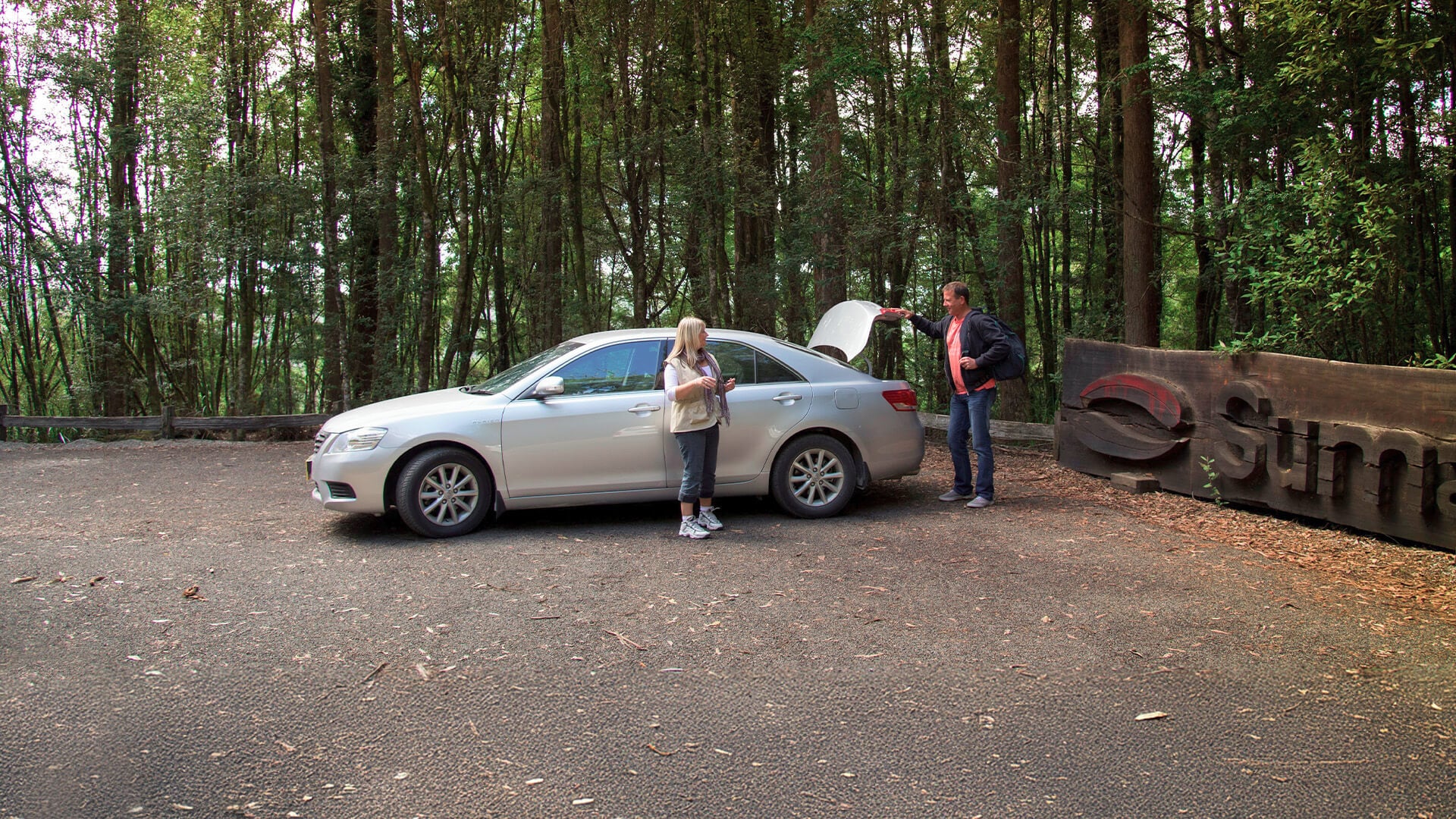 Car-in-forest